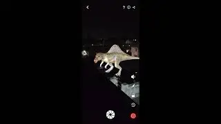 ARLOOPA - Virtual Reality App .