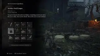 Black Myth Wukong All Seeds Required For Achievement