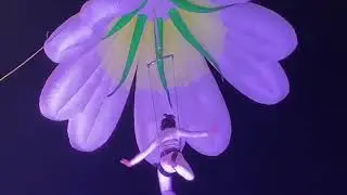 Have you ever watch Flying Fairy Lantern Dance?🧚‍♀️#china  #chinesedance  @chinesedance12