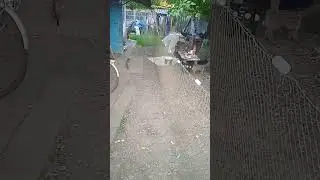 вентерь#изготовление на заказ#вентеря на заказ#