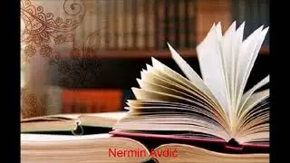 Žurba - Prepreka za sticanje znanja | Nermin Avdić | 2019.
