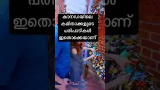 കുരുപൊട്ടി നടന്നാൽമതിയോ. ഇതൊക്കെ നമ്മുടെ നാട്ടിലും വേണ്ട. #lovestatus