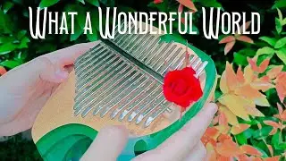 𝐖𝐡𝐚𝐭 𝐚 𝐖𝐨𝐧𝐝𝐞𝐫𝐟𝐮𝐥 𝐖𝐨𝐫𝐥𝐝 | Kalimba Cover