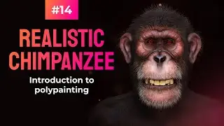 Master Zbrush: Realistic Chimpanzee Creation - Introduction to polypainting