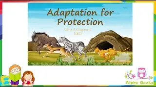 Adaptation For Protection - Module 2.5 (Chapter 2 - Olympiad Class 4 Science)