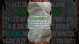 Zlatý kůň: Bohaté prvohorní naleziště středních Čech | Nálezy z Česka #17 | #shorts  | Jurský Kanál