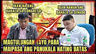 Cong. BOSITA mahirapang ipasa ang Panukalang BATAS kung wala sya sa SENADO