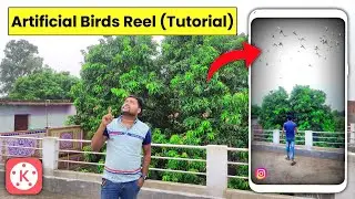 Instagram Birds Reel Editing Tutorial | Instagram Reel Editing 2024 | Kinemaster Instagram Editing🔥