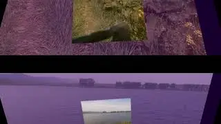 Пруд