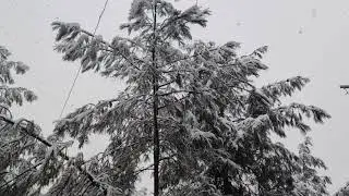 19.01.2021 Bugün Diyarbakır' da kar yağışı