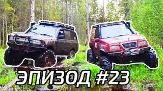 Заброшенная лесовозная дорога, очень много брёвен.