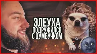 Илюха подружился с Цумбучком