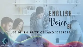 Using 'In spite of' and 'Despite' | Intermediate Grammar | B1 Level