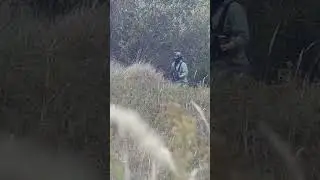 Even a small hit is a hit