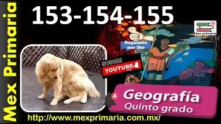 Geografía 5 pag, 153, 154, 155, medio, natural, calidad, vida, ejercicios, apliquemos lo aprendido