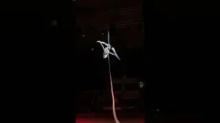 Евгения Завадская. Цирковое шоу 