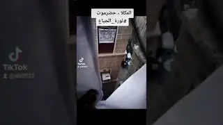 المكلا سقوط قتيل اثناء تفريق قوات الأمن مظاهرة سلمية الله يحفظ اليمن