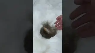 Багра у нас нету