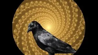 Crow Transformation Hypnosis