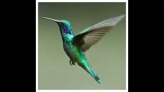 [future beats] Metković - Birdwatching (2019)