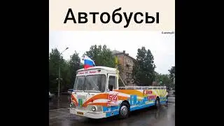Добро пожаловать в Мир Автобусов