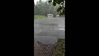 AXA GOTOVIT в прямом эфире!