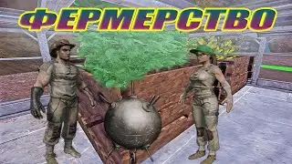 ARK. Фермерство с модом S+