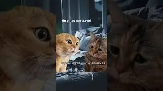 4 часа утра! Зачем ты меня разбудила? 