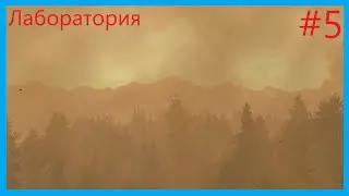 Лаборатория #5 Firewatch