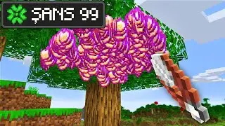 ÇOK ŞANSLIYIM! - Minecraft