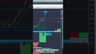 2х месячная программа сопровождения торговли от А до Я