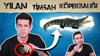 YOUTUBERLAR VAHŞİ HAYVANLARI YİYOR - YEMEK TEPKİSİ