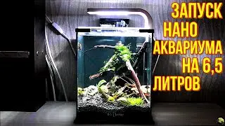 Запуск нано аквариума на 6,5 литров.