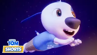 🧁 The Cupcake Dream & More 🍭😴 Talking Tom Shorts (S2 Episode 55)
