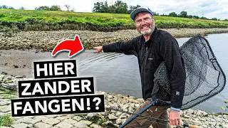Zanderjagd bei Ebbe und Flut 🎣 So knackst du dein Gewässer!