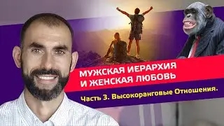 Иерархия Мужчин и Женская Любовь. Часть 3. Высокоранговые отношения.    #любовь #отношения #мужчина
