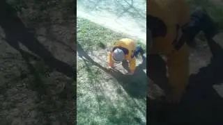 Сумашетший ребёнок