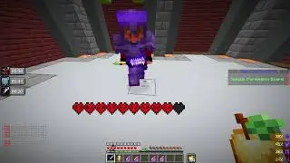 Playing Minecraft with subscribers
