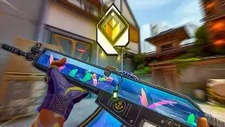 gekko only to radiant