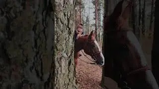 фотоссесия с лошадьми