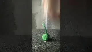 garlic firecrackers   🧨 explosion of firecrackers. 🧨