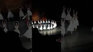 Сил, Новая, 29.10.2024_2