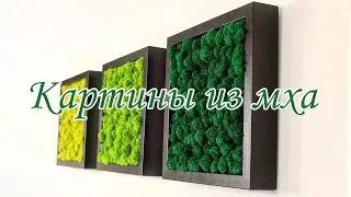 Картины из мха (для сайта Energoffon.com)