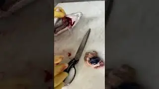 #viral