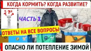 Опасно ли потепление зимой? Когда кормить  Ответы на ваши вопросы