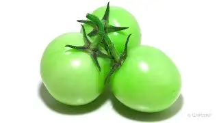 Infected?! Tomatoes Timelapse Rotated
