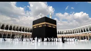 Pilgrims from Gaza arrive in Saudi Arabia to perform Hajj