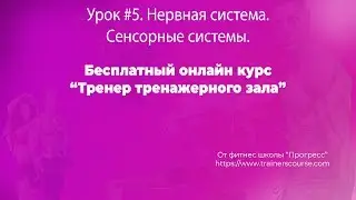 Фитнес обучение. Урок 5.  Сроение нервной системы.