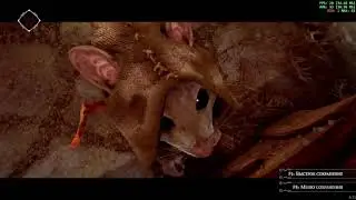 Ghost of a Tale Играем и радуемся !