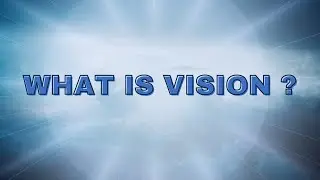 what is vison?